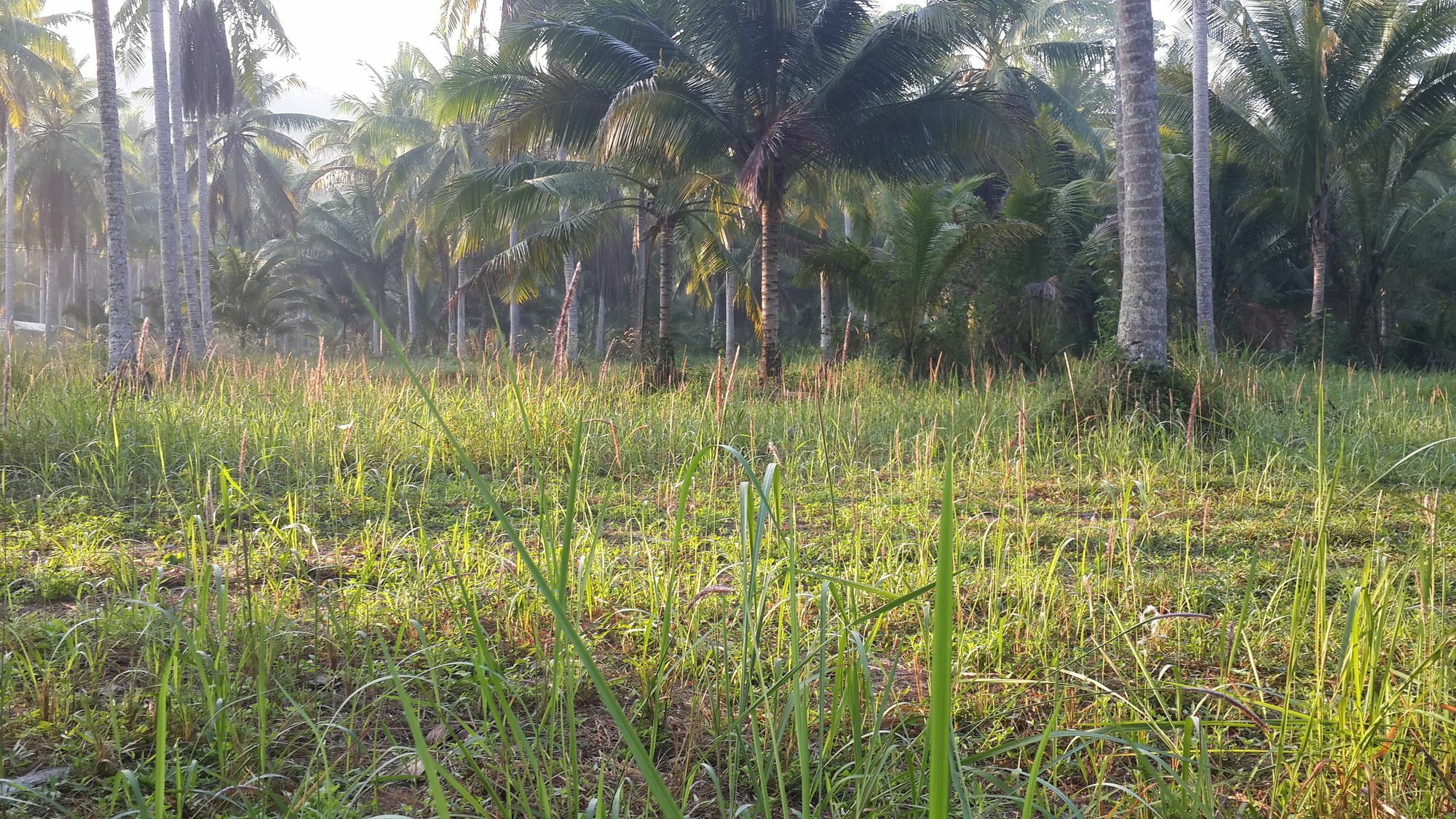 Baan Phuean Koh Kood Hotel Ko Kut Kültér fotó